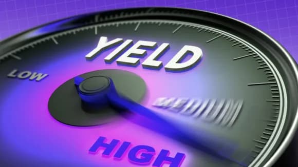 Gross yield in NZ