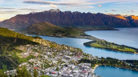 Nz property market