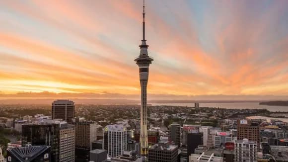 Auckland property market