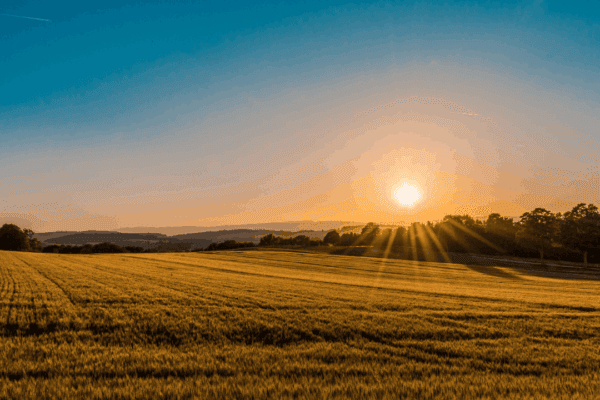 Gisborne Property Market