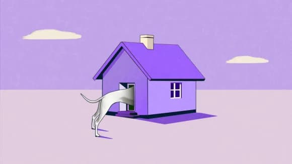 Should i allow pets in my rental V1 1