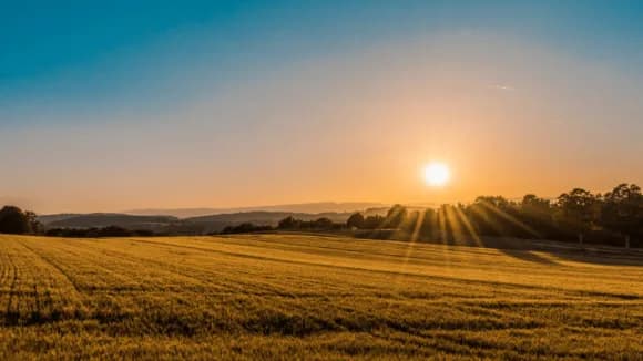 Gisborne Property Market