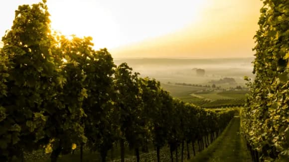 Hawkes Bay Property Market