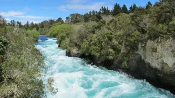 Central north island