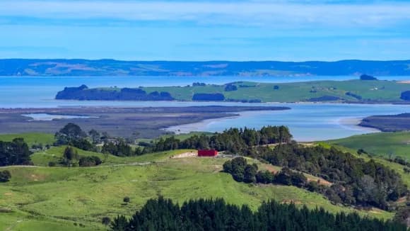 Kaipara harbour