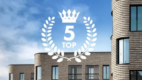 Top 5 developers Auckland WEBSITE V1