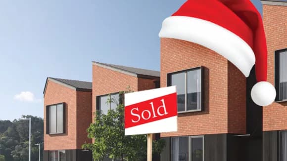 Settling around christmas WEBSITE