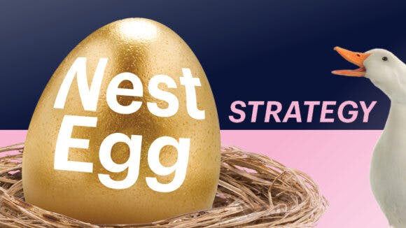 Nest Egg WEBSITE